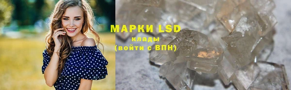 ПСИЛОЦИБИНОВЫЕ ГРИБЫ Каменка