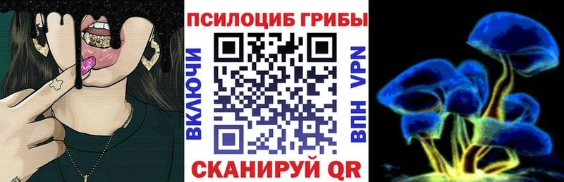 как найти закладки Инсар Галлюциногенные грибы прущие грибы